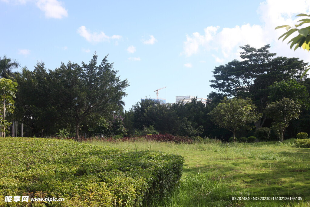 坪山湿地公园