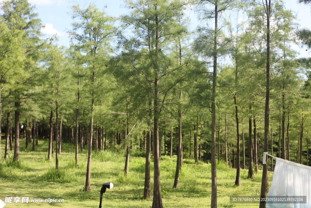 坪山湿地公园