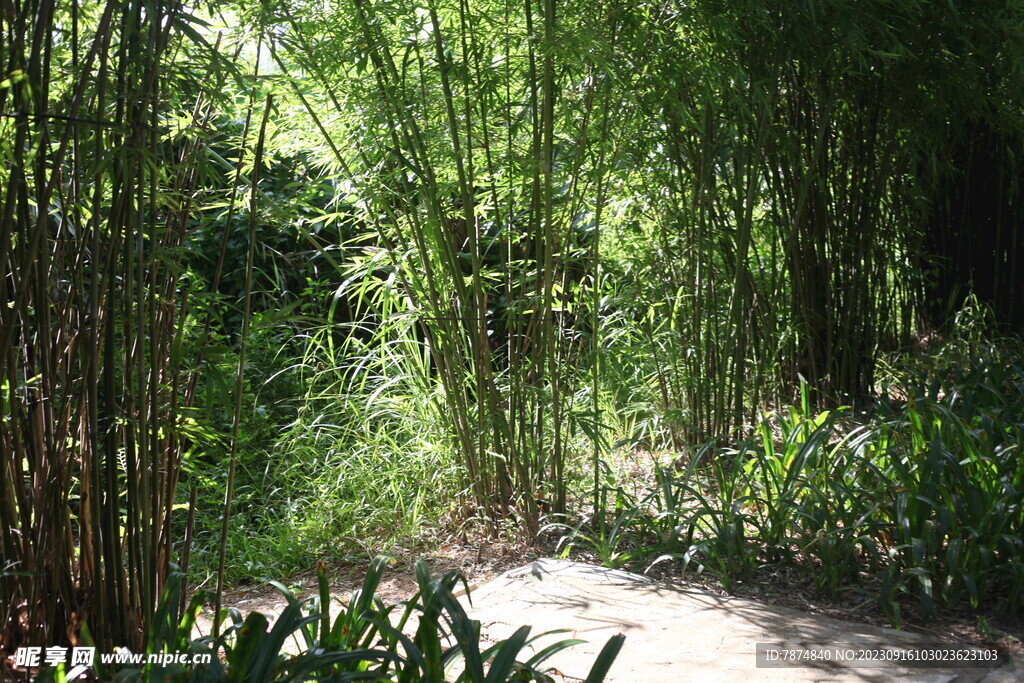 坪山湿地公园