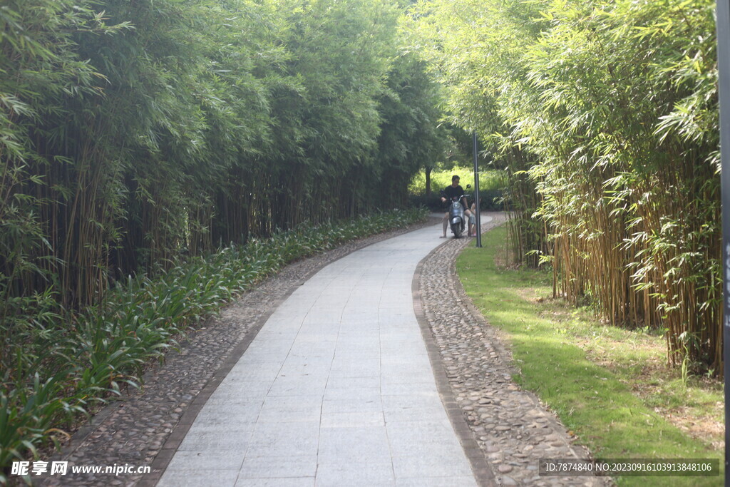 坪山湿地公园