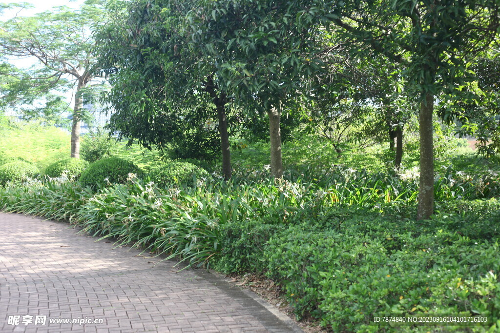 坪山湿地公园