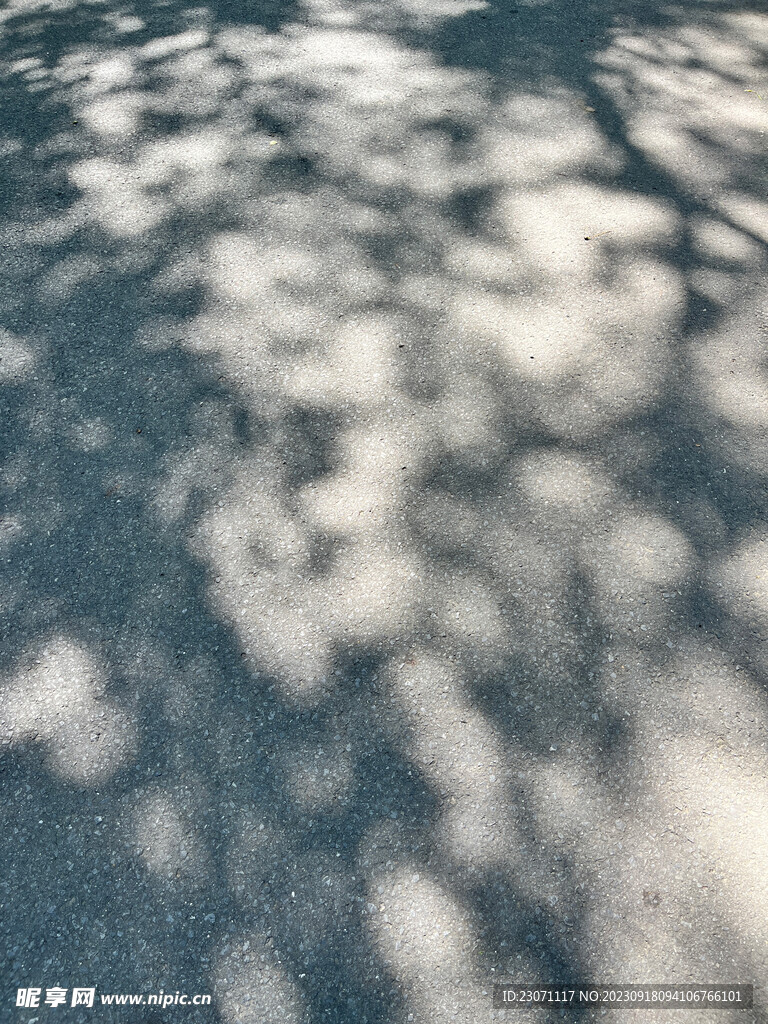 光影树影