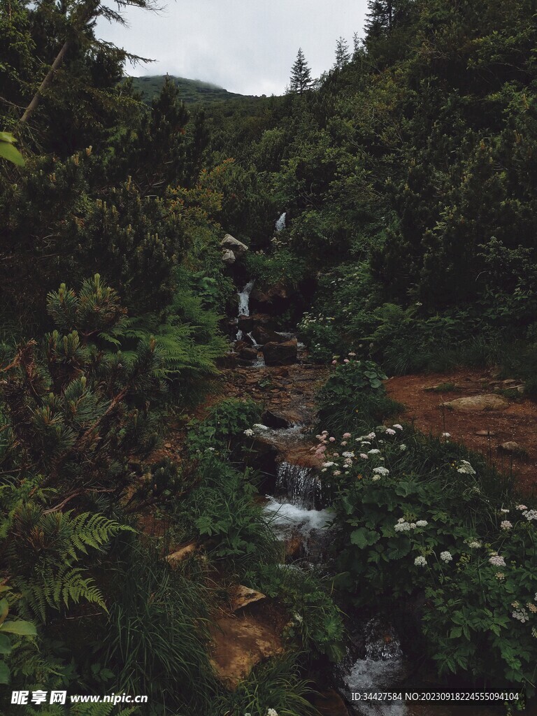 山林中的山溪