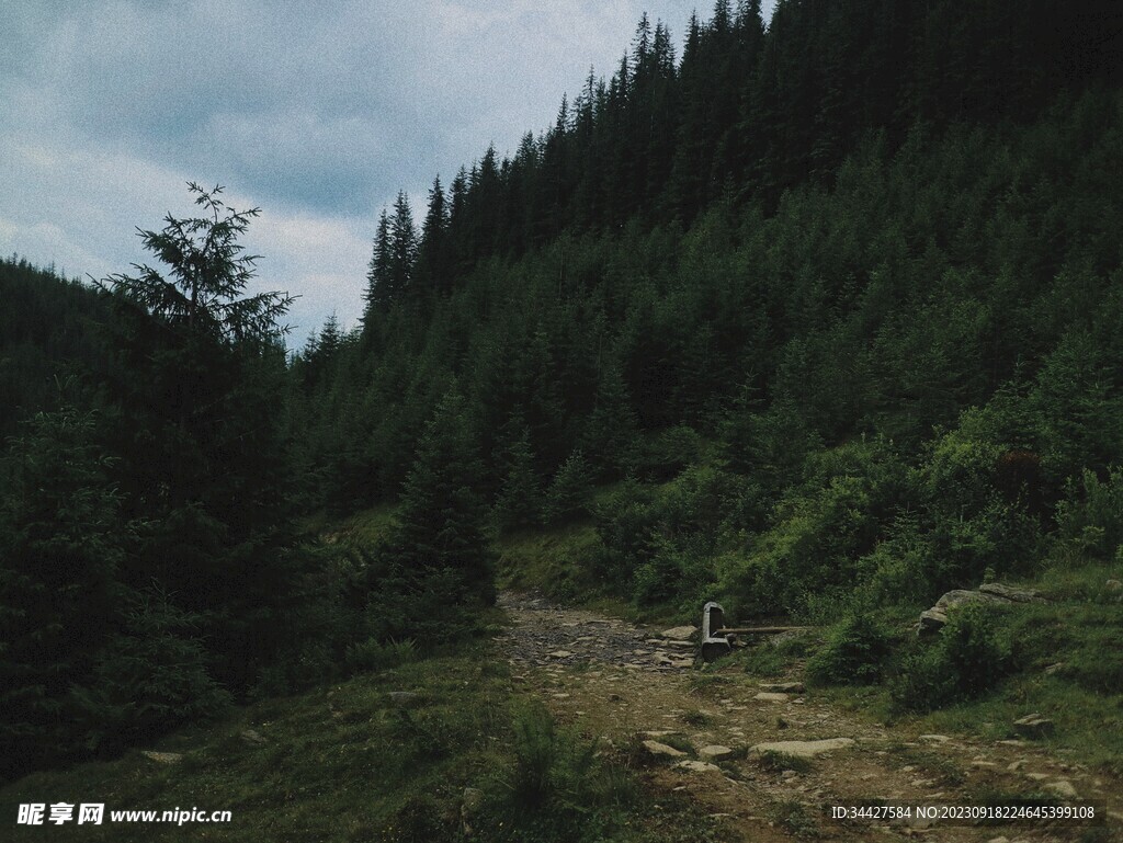 山林中的山路