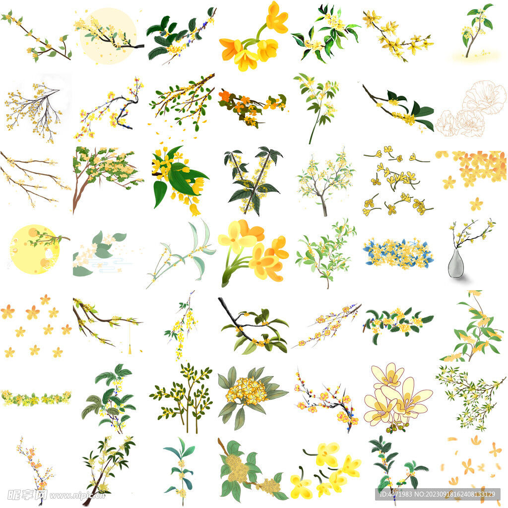 50张桂花png