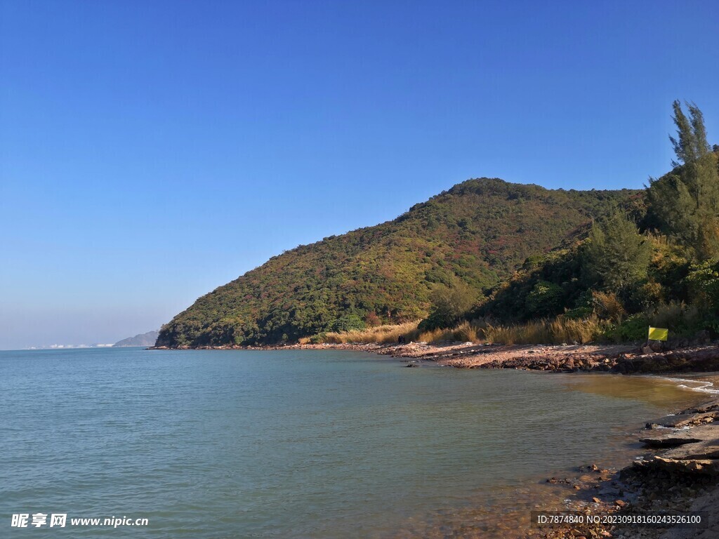 深圳坝光