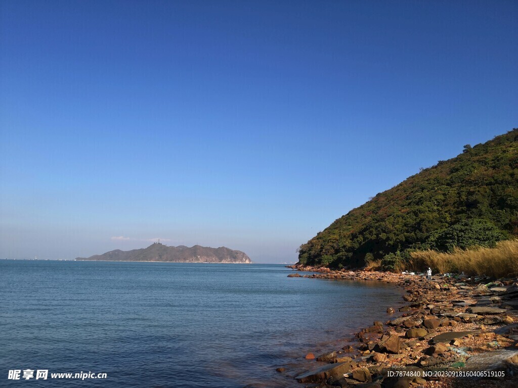 深圳坝光