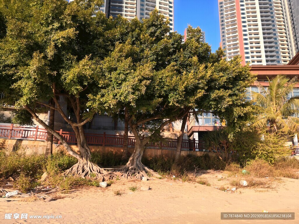 惠州巽寮湾