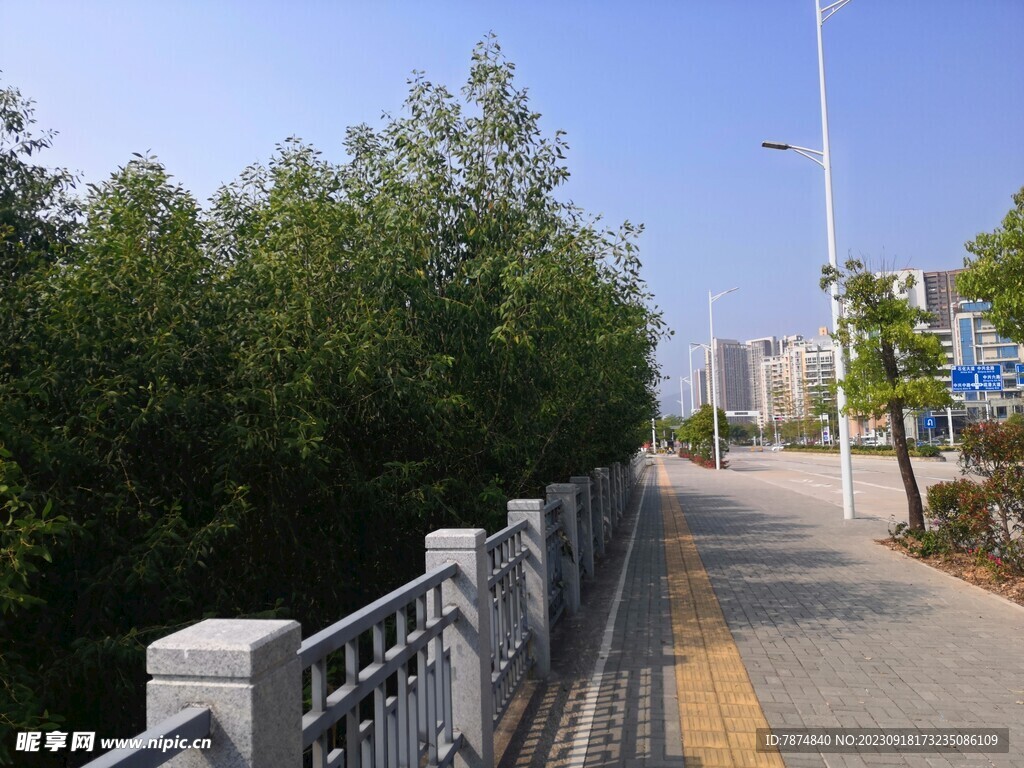 大亚湾红树林