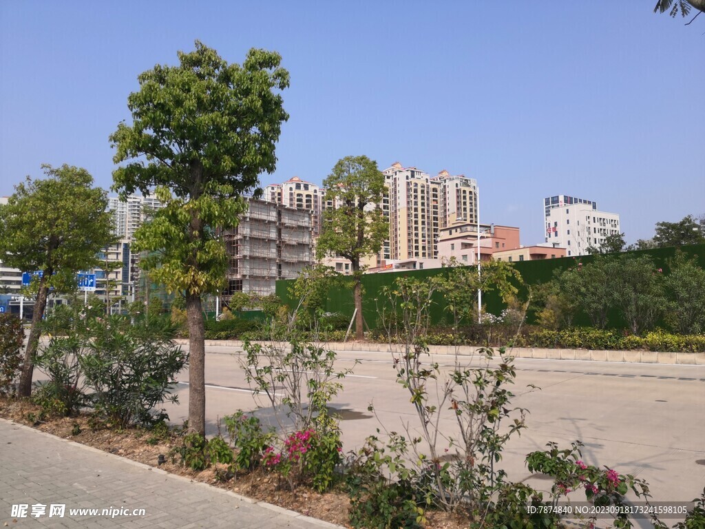 大亚湾红树林