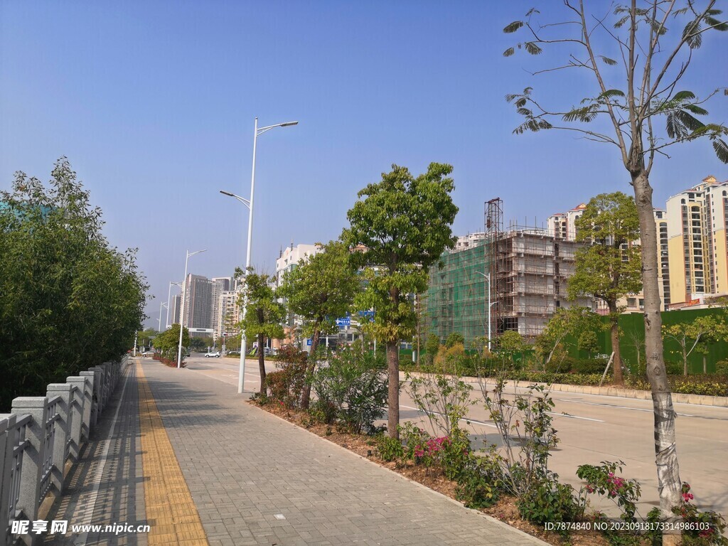 大亚湾红树林