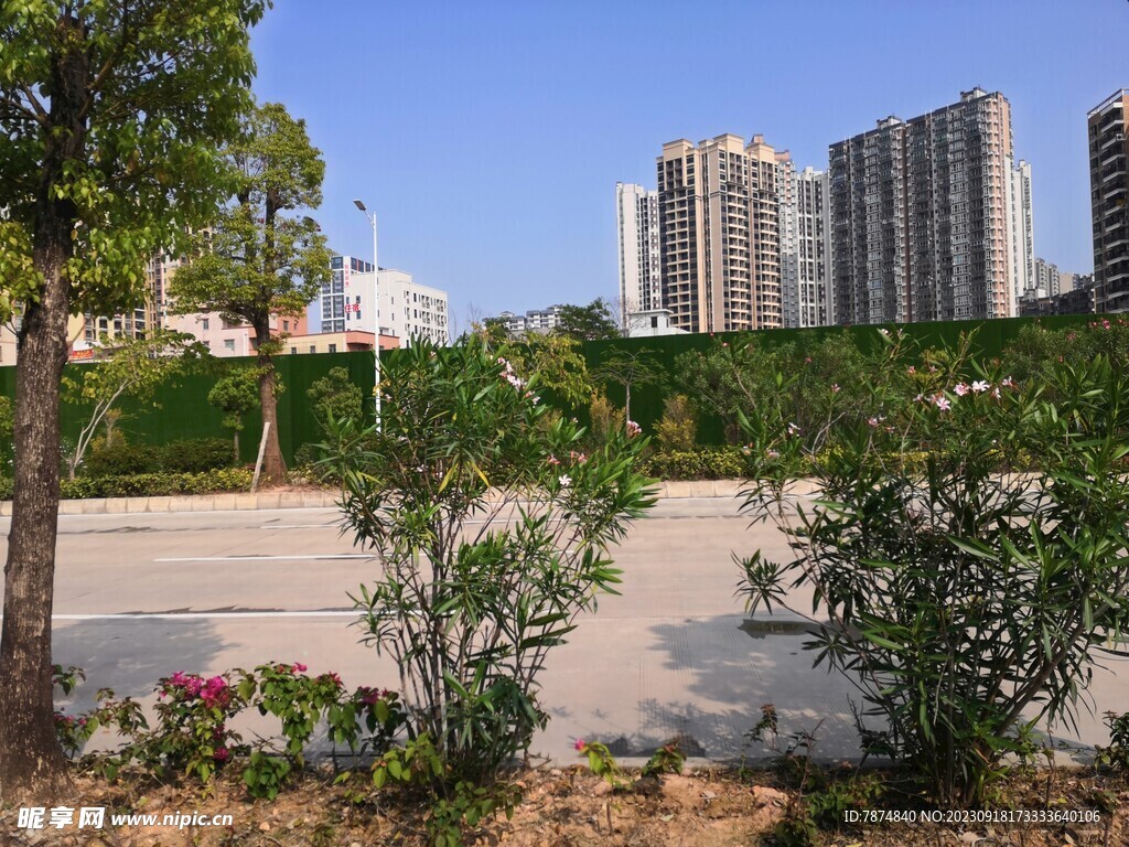 大亚湾红树林