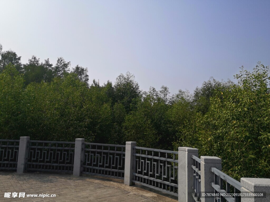 大亚湾红树林