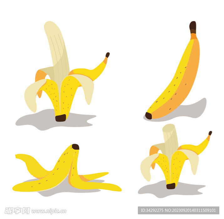 香蕉插画素材