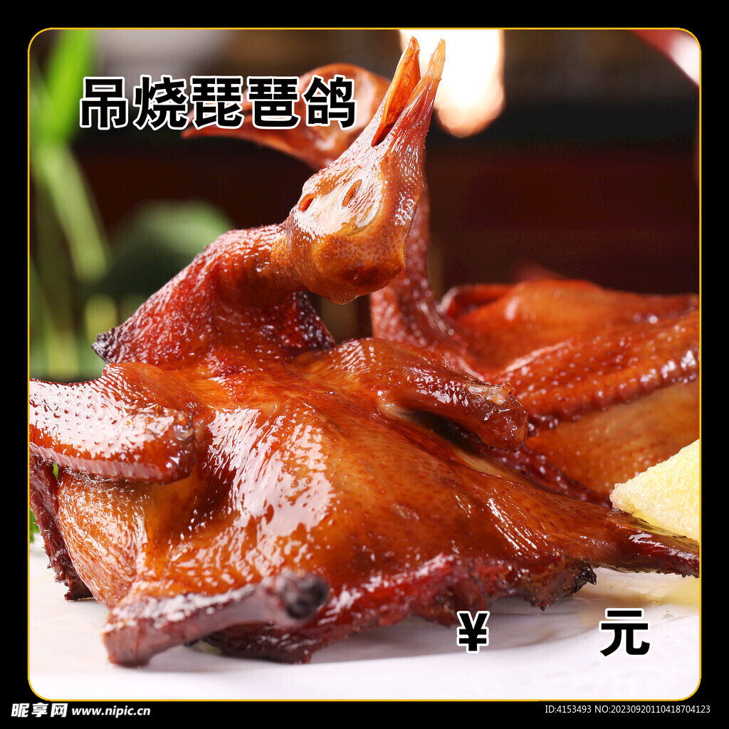 吊烧琵琶鸽
