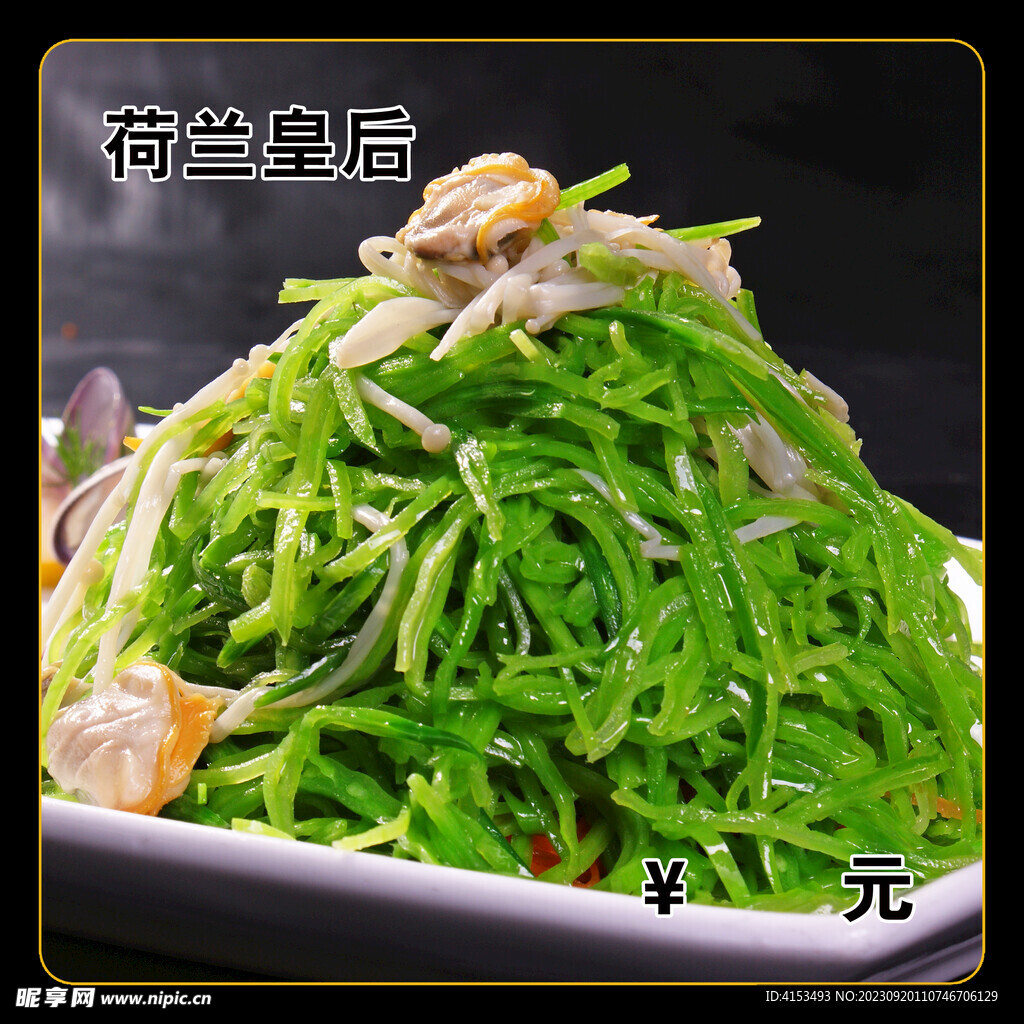 荷兰皇后
