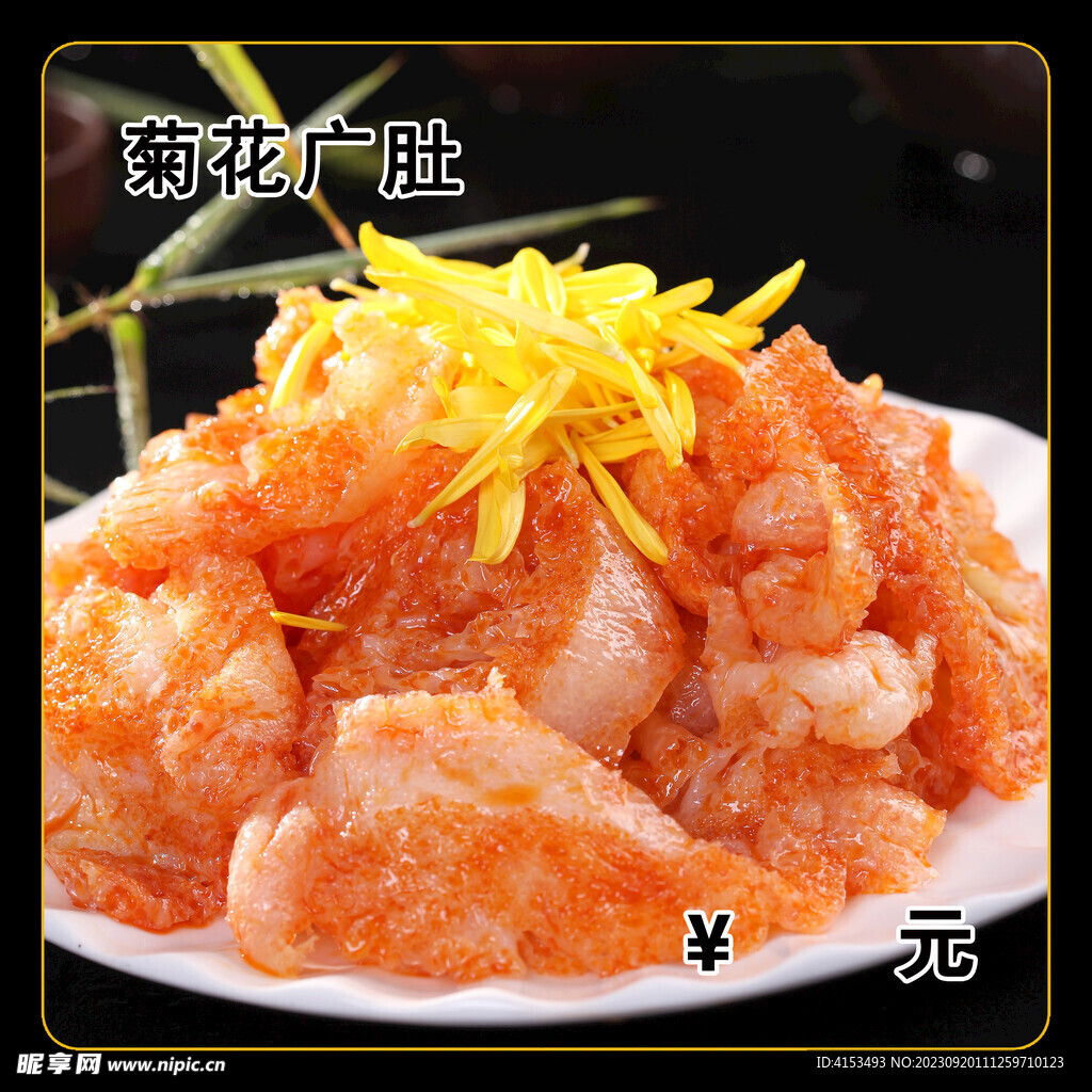 菊花广肚
