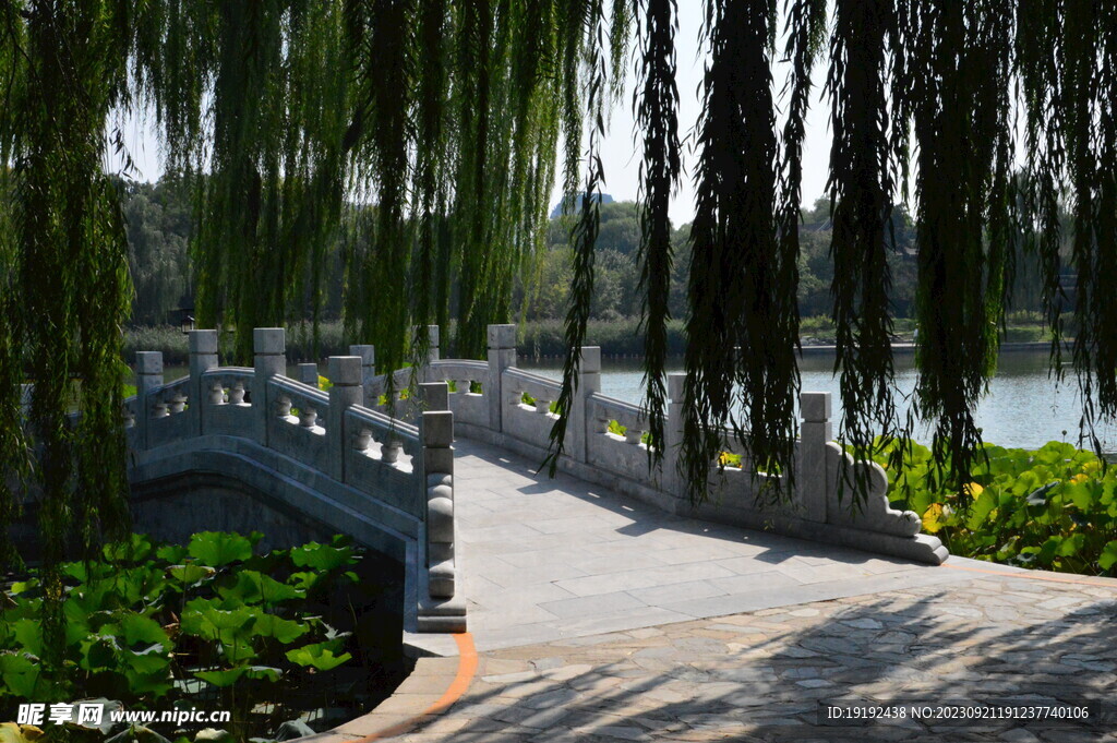 公园风景