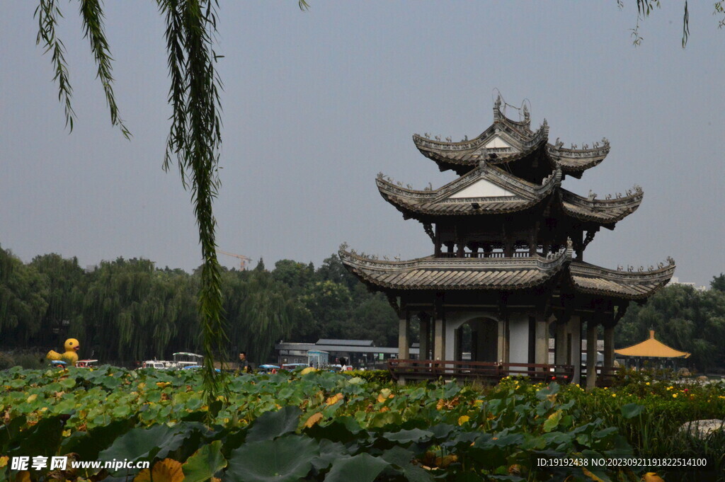 公园风景 