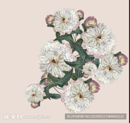 定位花