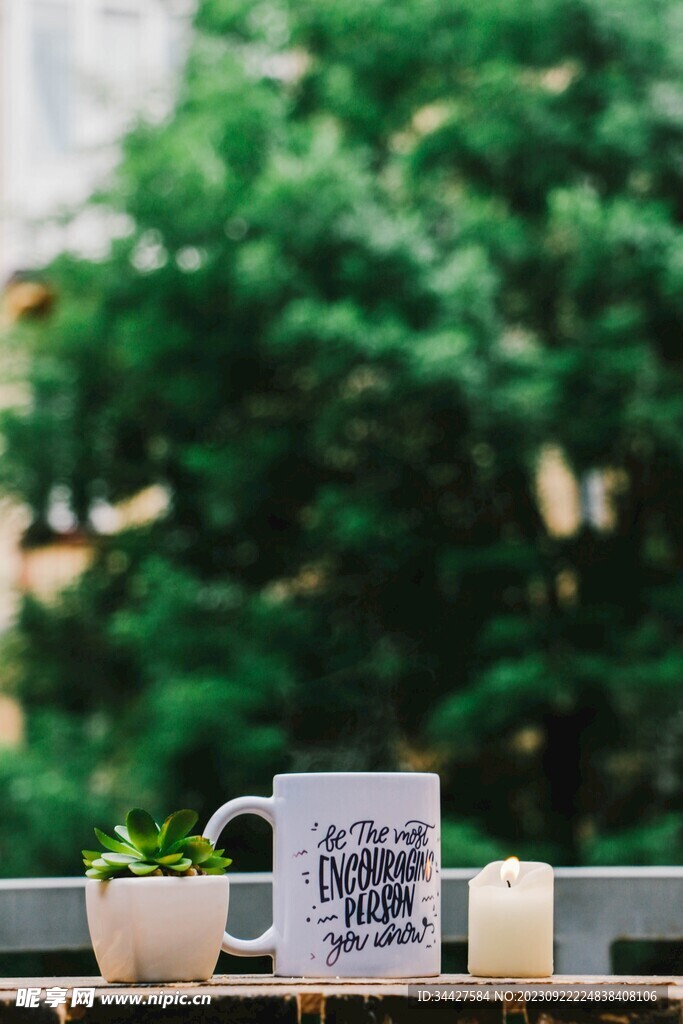 马克杯绿植和蜡烛