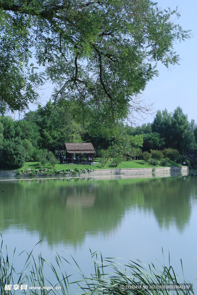 公园风景 