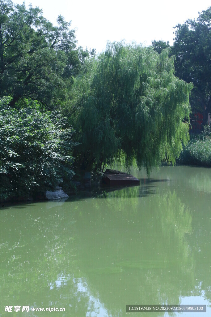 公园风景 