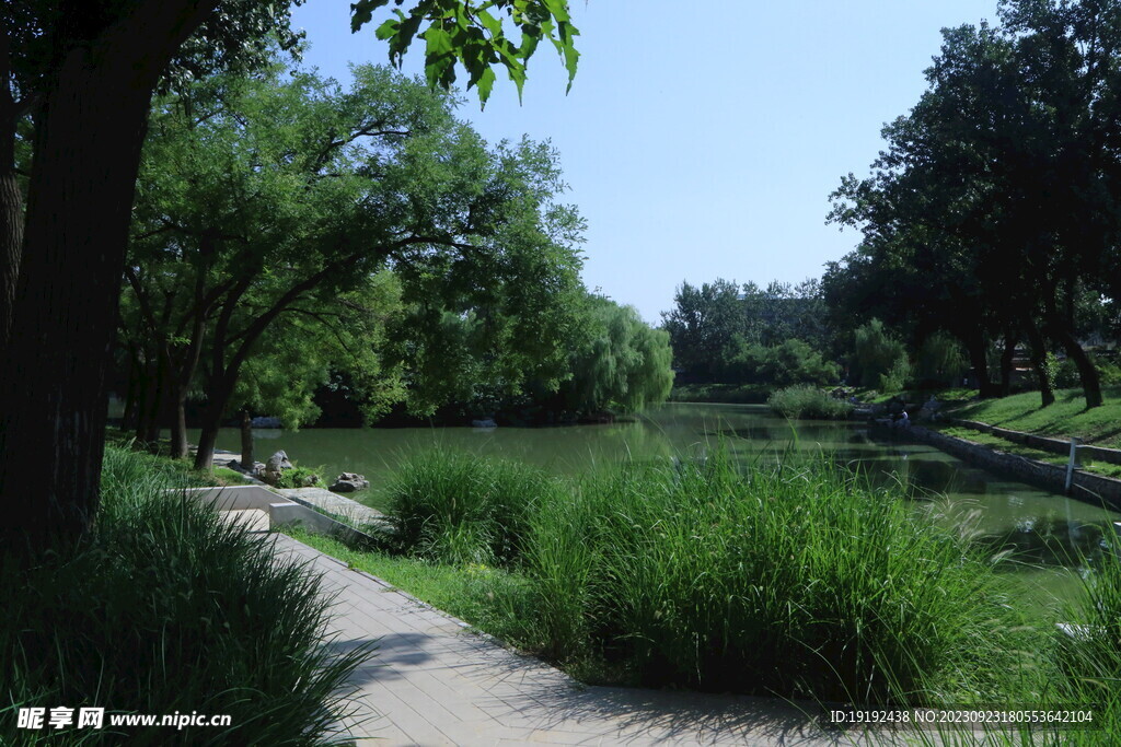 公园风景