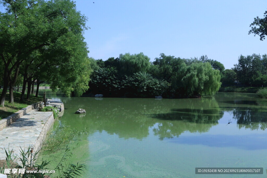 公园风景 