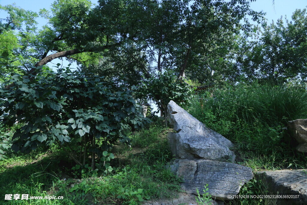 龙潭中湖风景