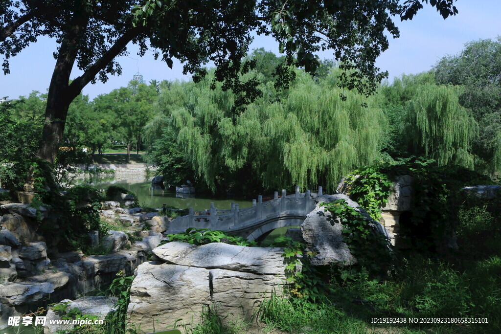 公园风景
