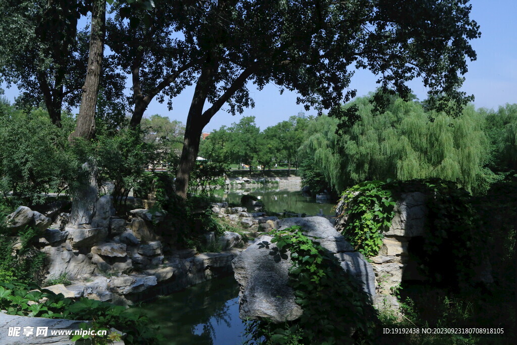 公园风景 