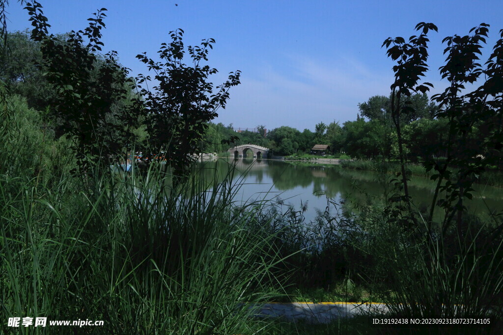 公园风景