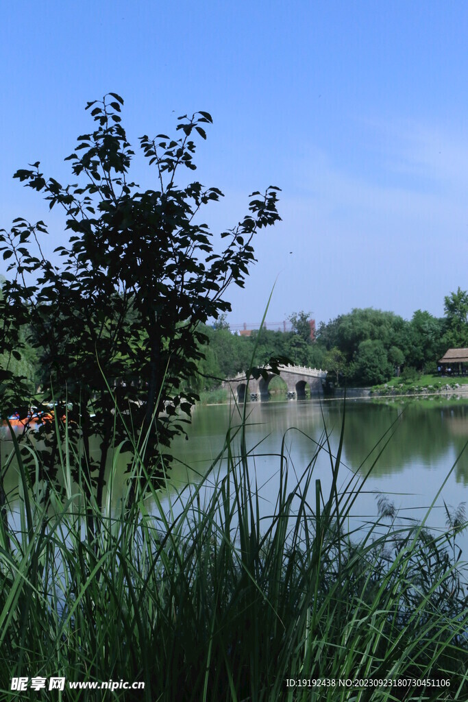 公园风景 