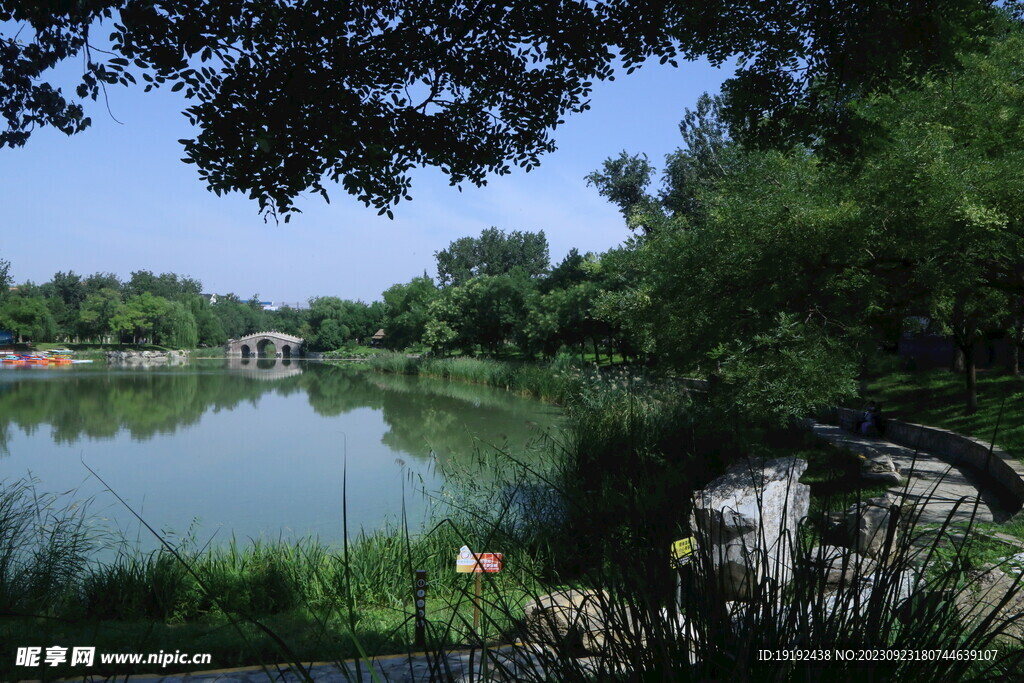 公园风景 