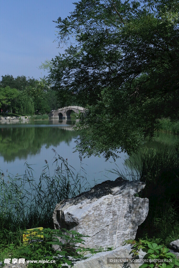 公园风景