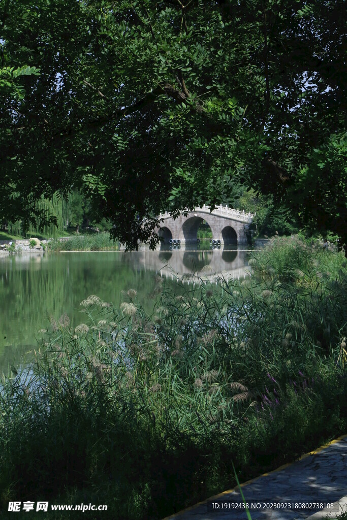 公园风景 