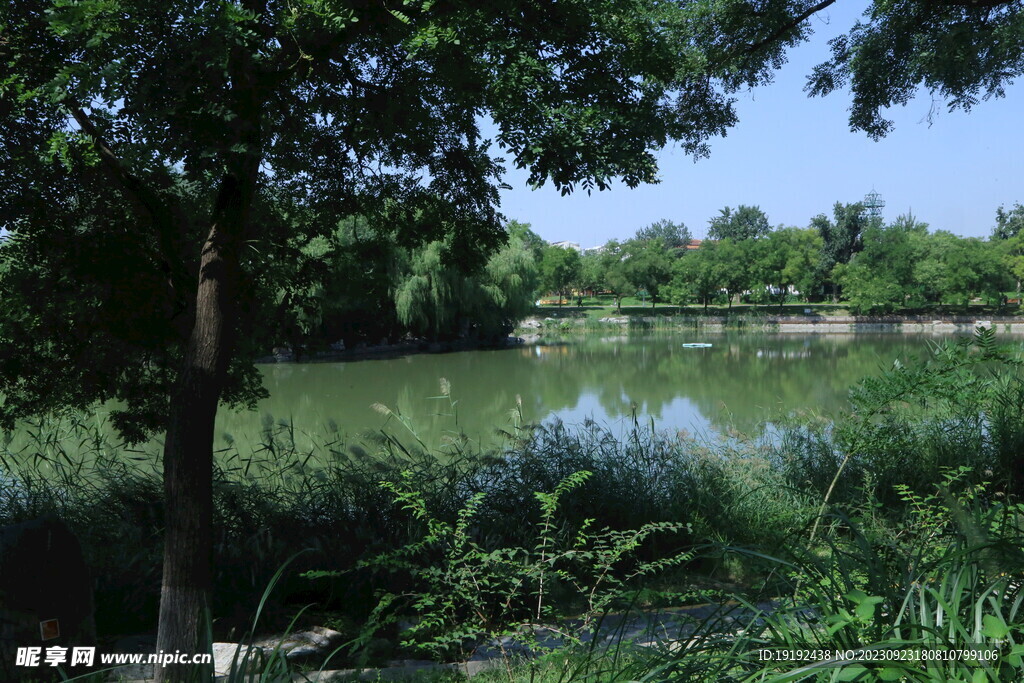 公园风景