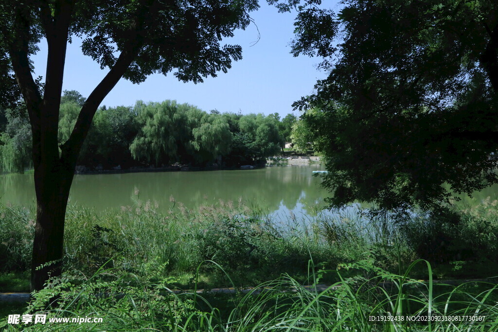 公园风景