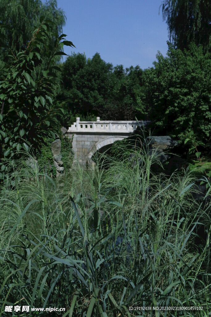 公园风景