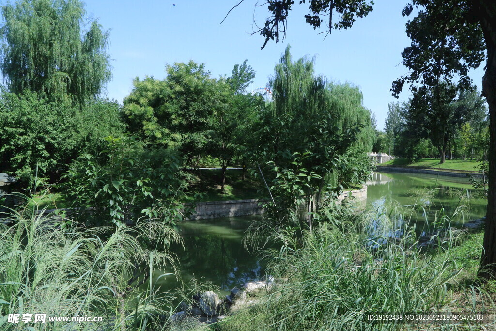 公园风景 