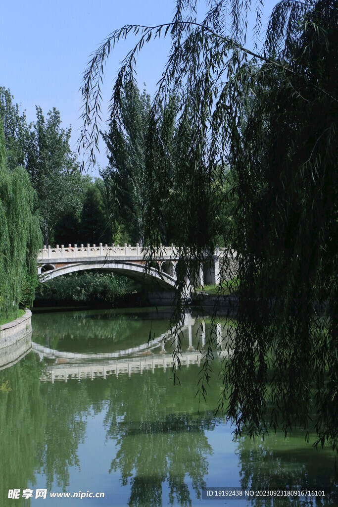 公园风景