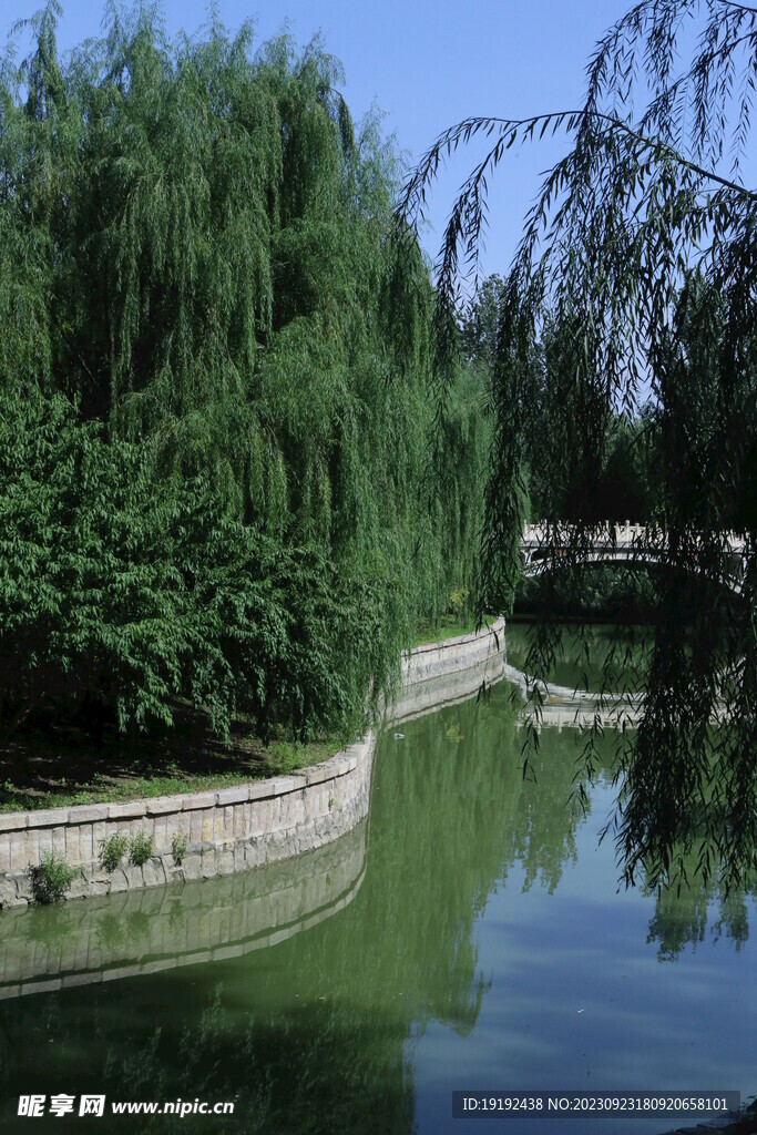 公园风景 