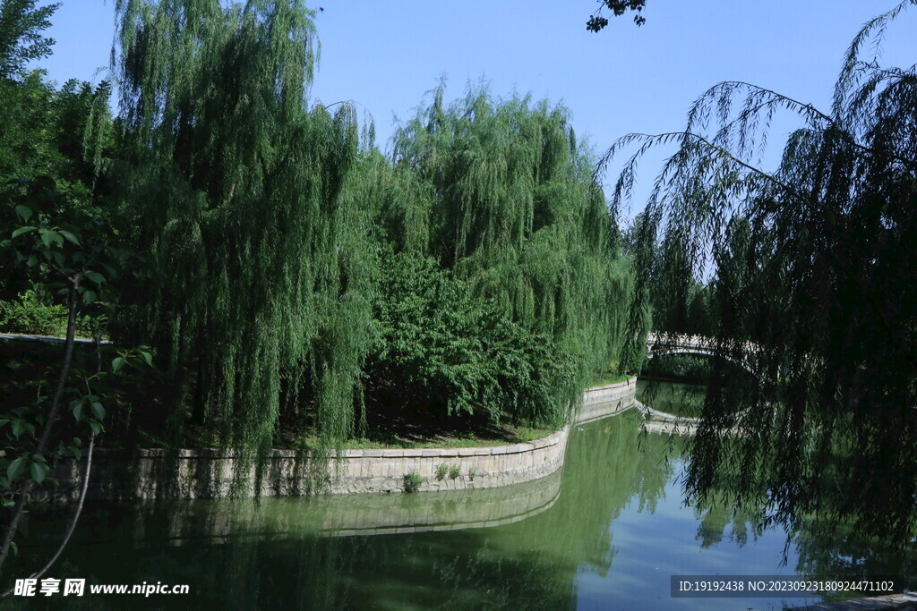 公园风景