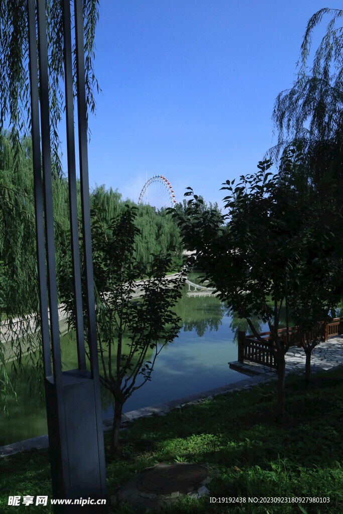公园风景