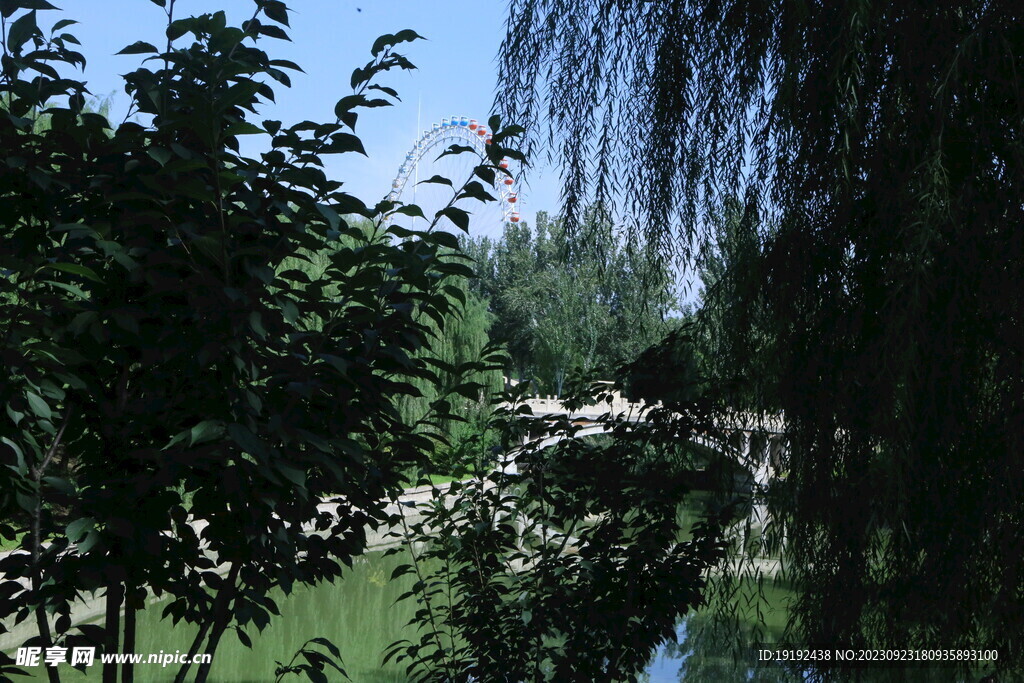公园风景 
