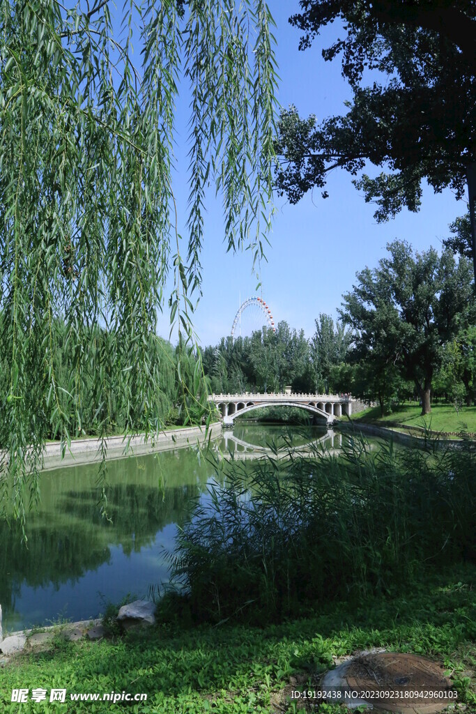 公园风景 