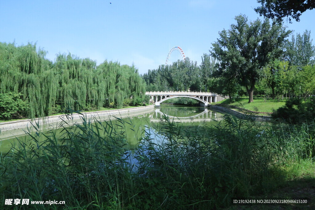 公园风景