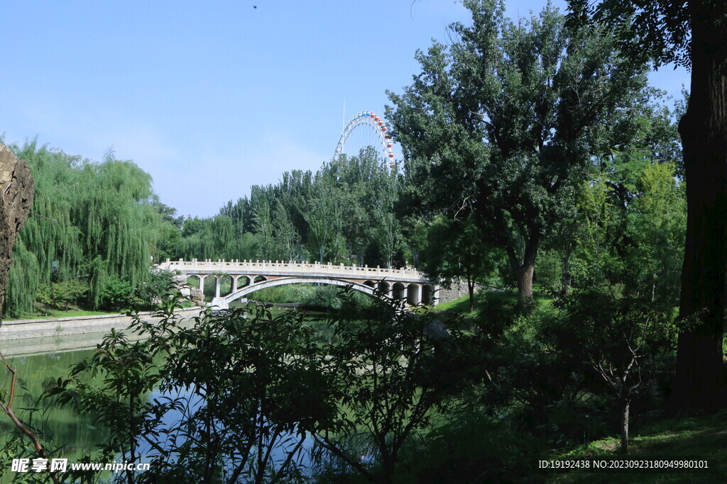 公园风景