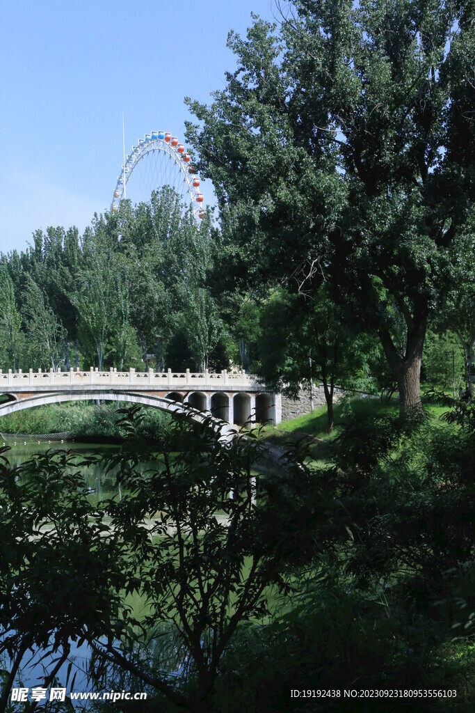公园风景